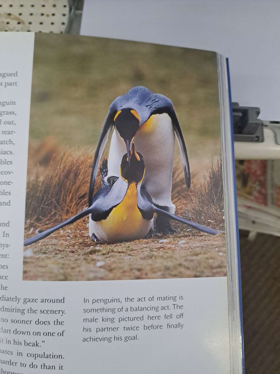PENGUINS OF THE WORLD.  By W Lynch