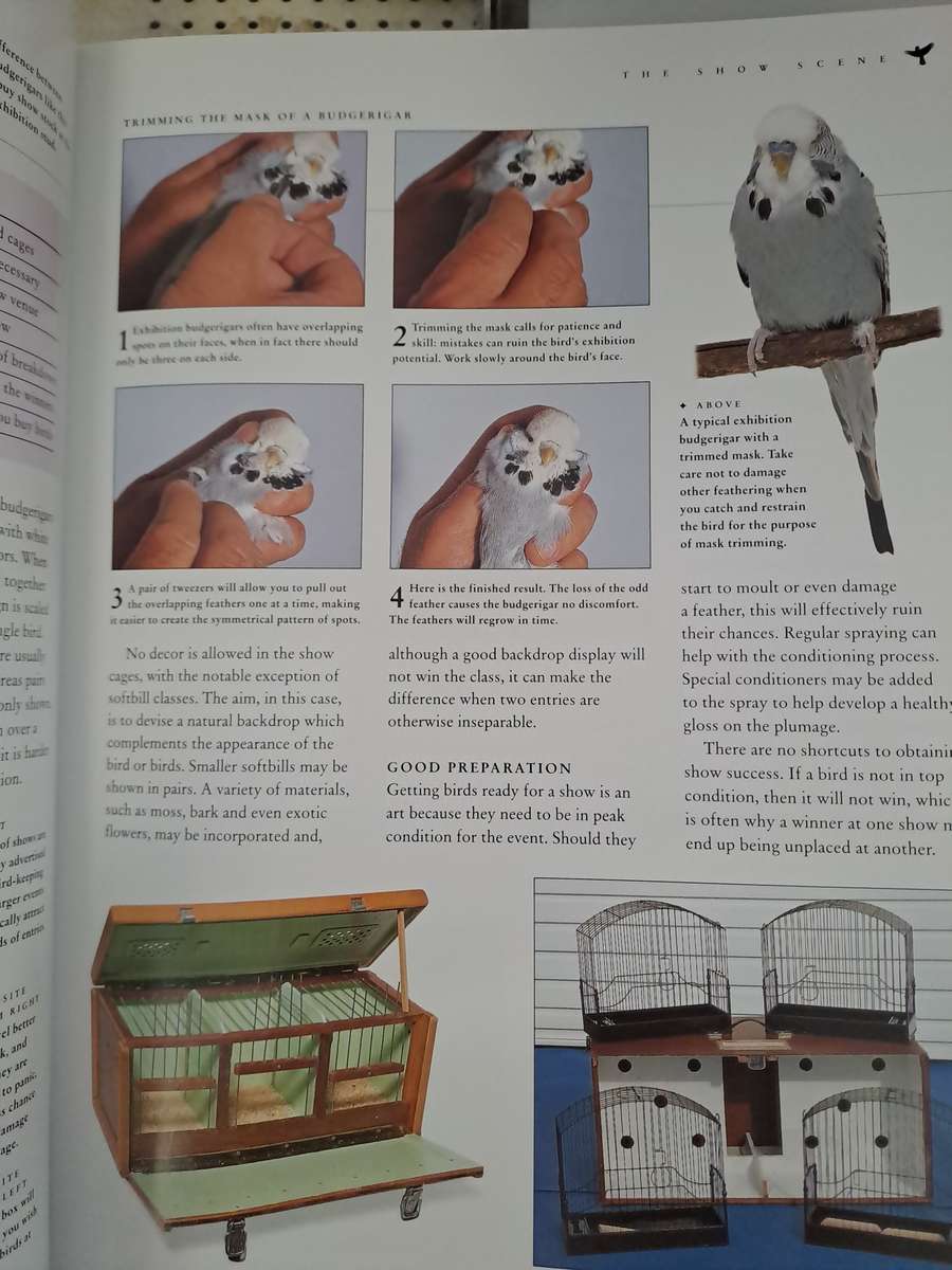 CAGED AND AVIARY BIRDS. By D Alderton