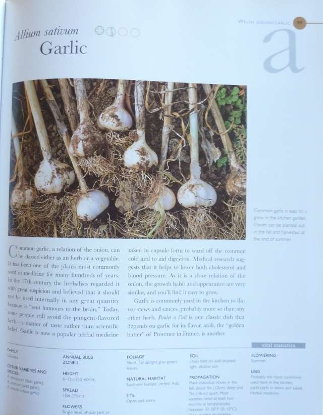 THE ULTIMATE HERB BOOK By Antony Atha