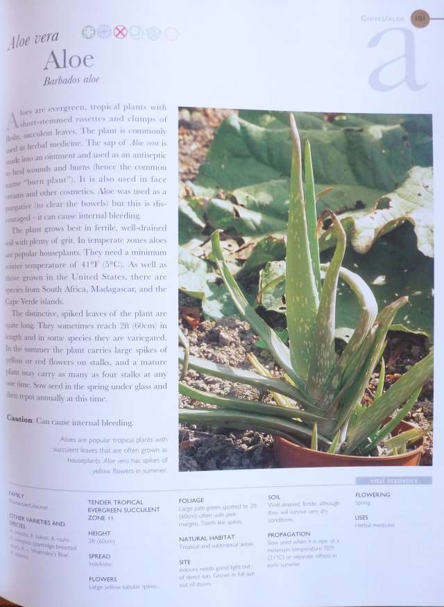 THE ULTIMATE HERB BOOK By Antony Atha