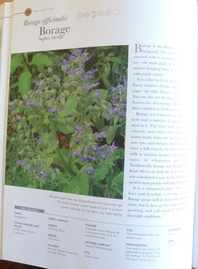 THE ULTIMATE HERB BOOK By Antony Atha