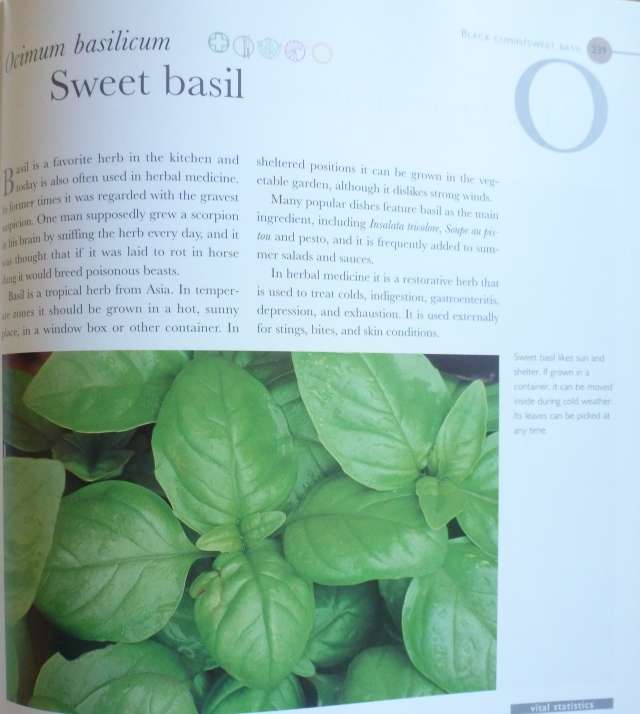 THE ULTIMATE HERB BOOK By Antony Atha