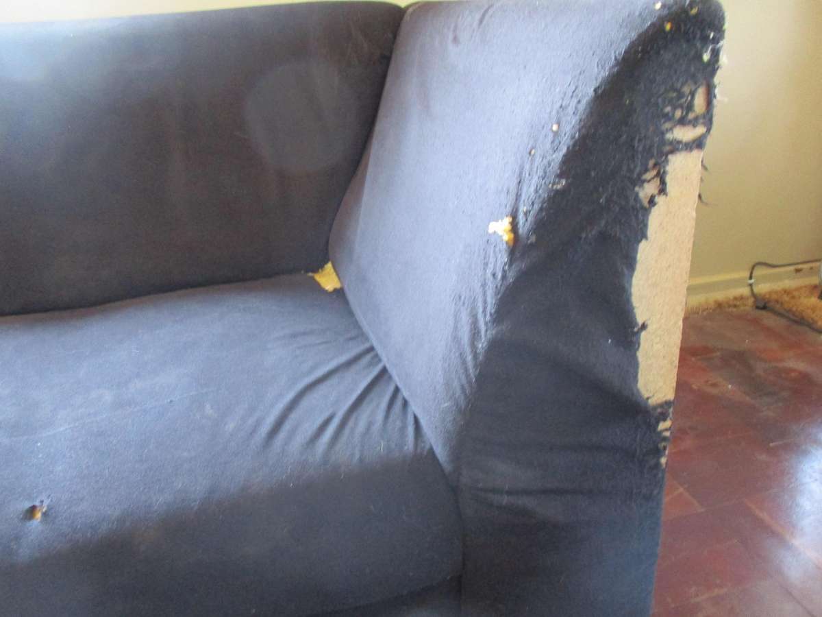 Black Couch