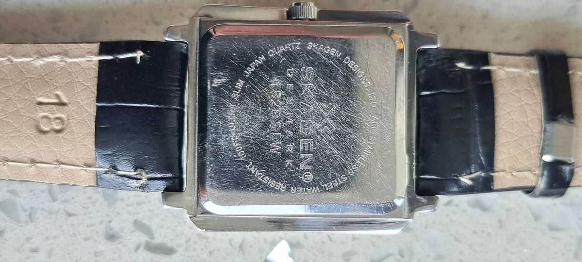 Watch Skagen Denmark Dk Like New.