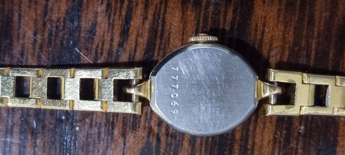 Rotary ladies watch wind up