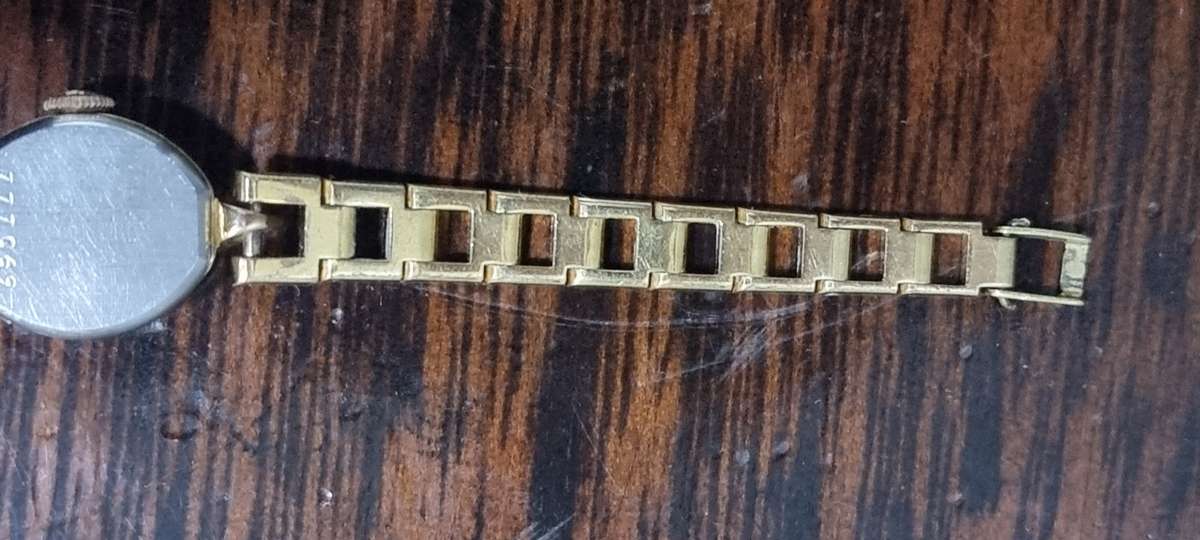 Rotary ladies watch wind up