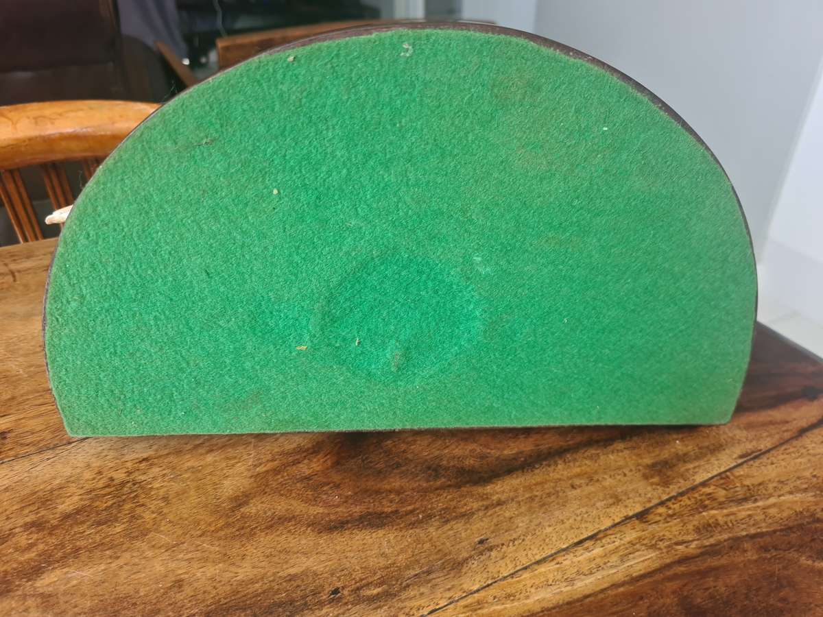 Giant Spider Conch Seashell XL