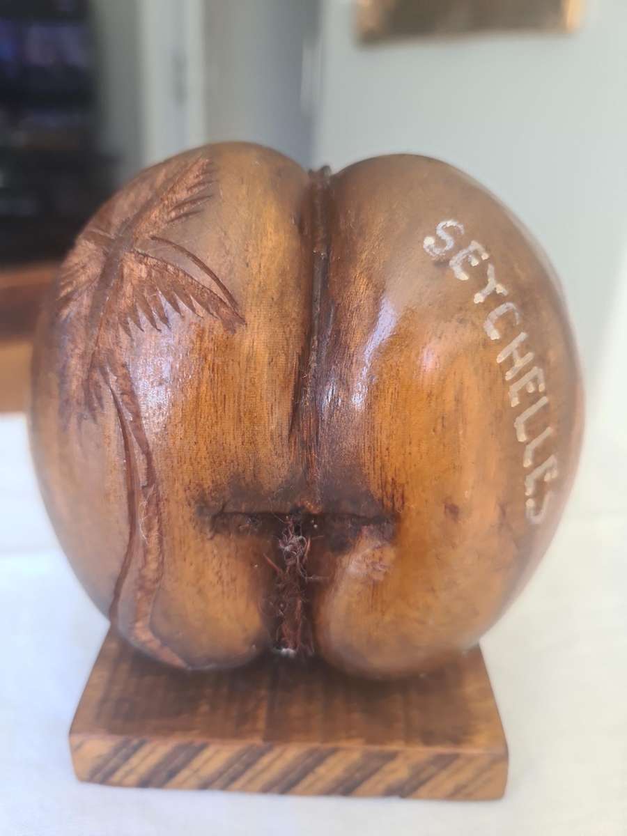 Coco de Mer Seychelles souvenir