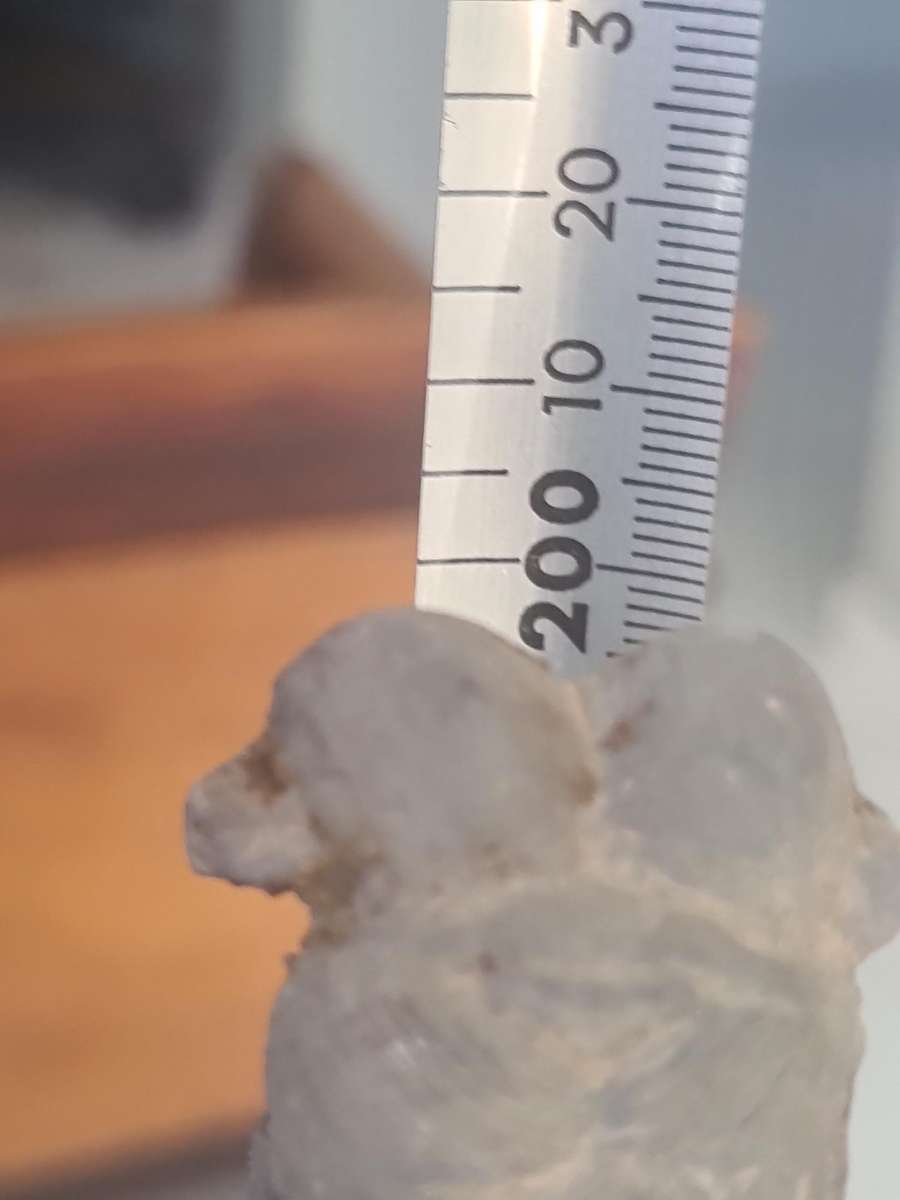 Chinese Warriors Figurines | 2 China Terracotta Warriors | Xian Soldier Statues