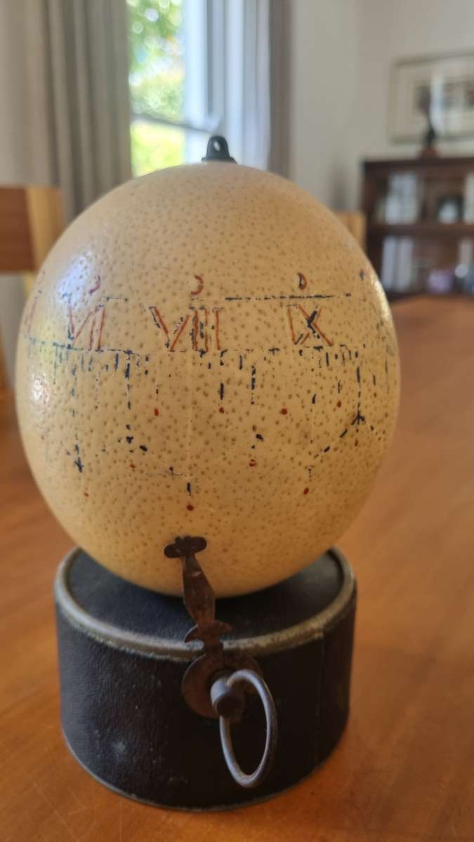 Ostrich Shell Clock. For repair or parts. Genuine German Manufacture.