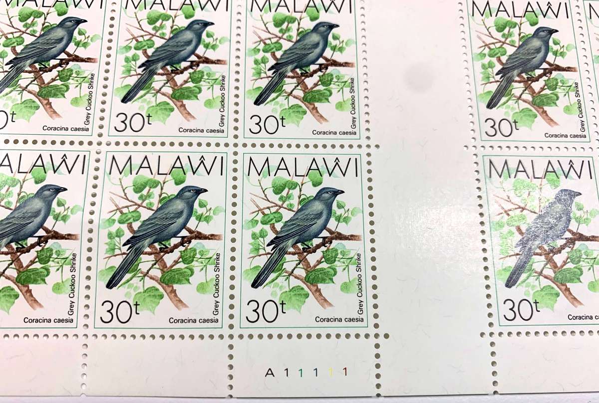 Malawi 1988 BIRDS 20t, 30t & 50t full sheets - superb & BIG CV