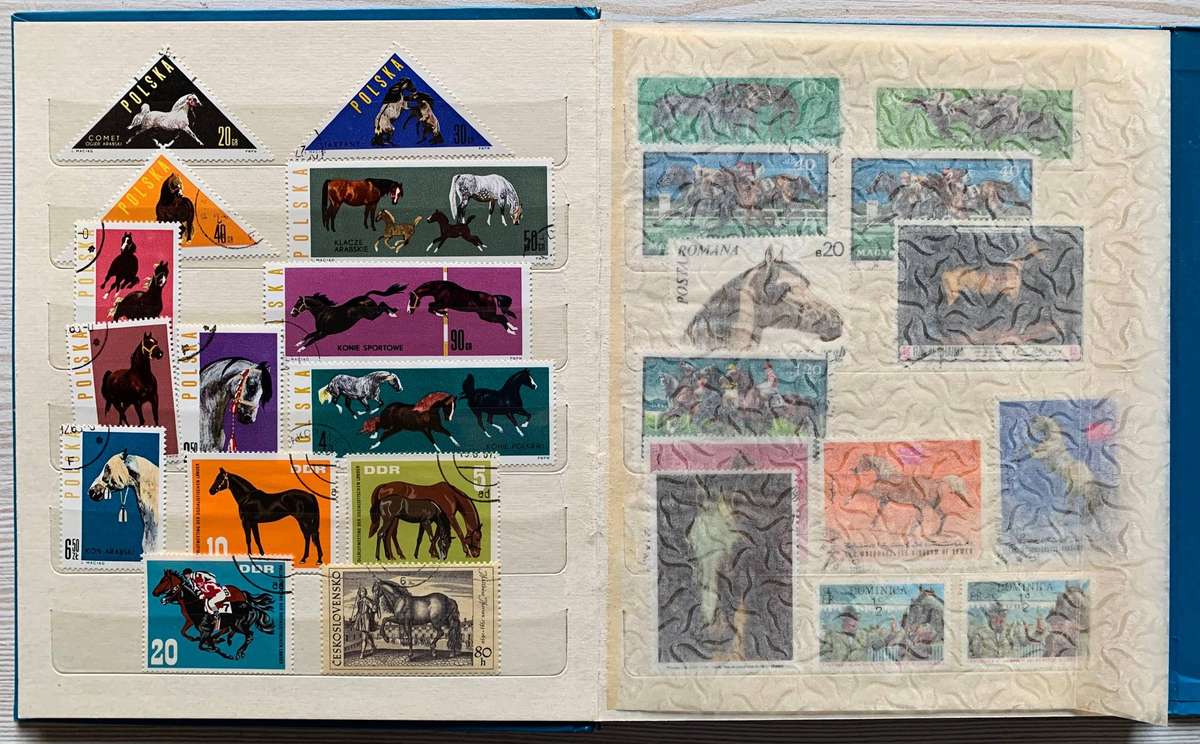 Nice little horses thematic collection in small album