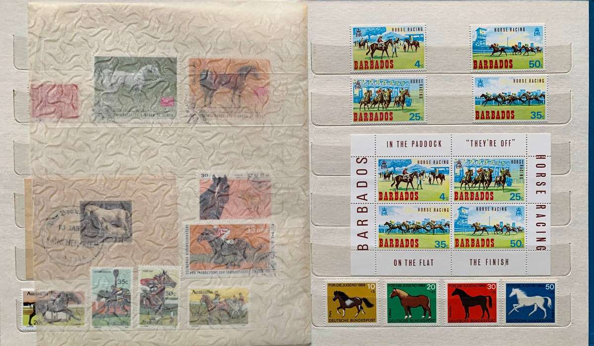 Nice little horses thematic collection in small album