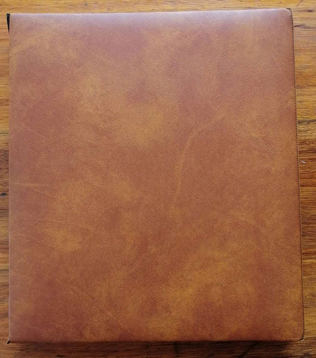 Swaziland 1980s Covers & Matching controls 50+ items in Binder album - see images