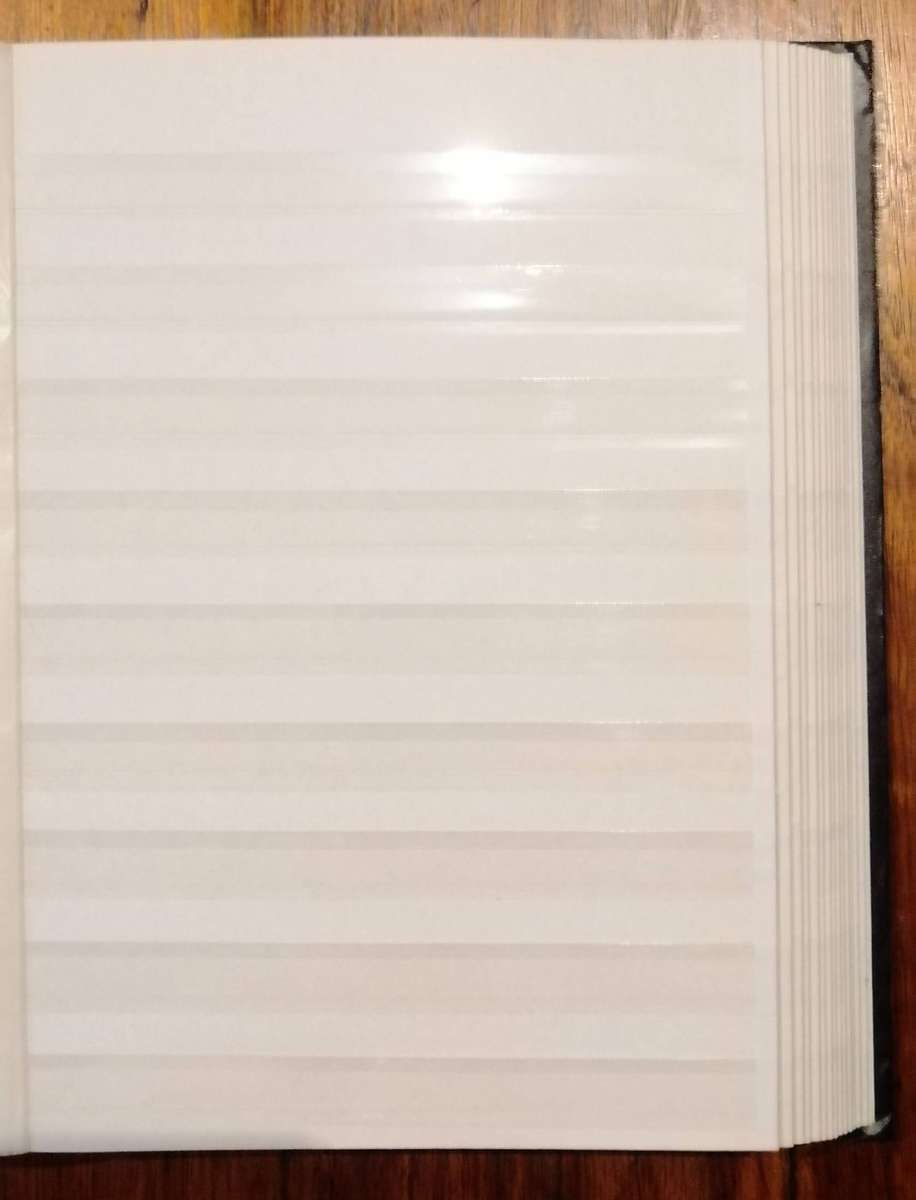 Good Nick Imperial Prinz 4030 30 Pg / 60 side Stockbook - Double protective sleeves , 9 clear rung