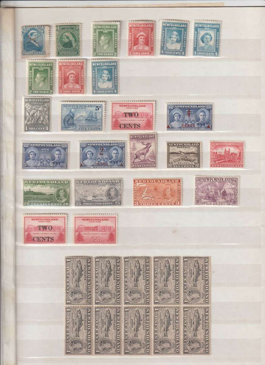 Newfoundland * Mint stamp selection. See Scan.