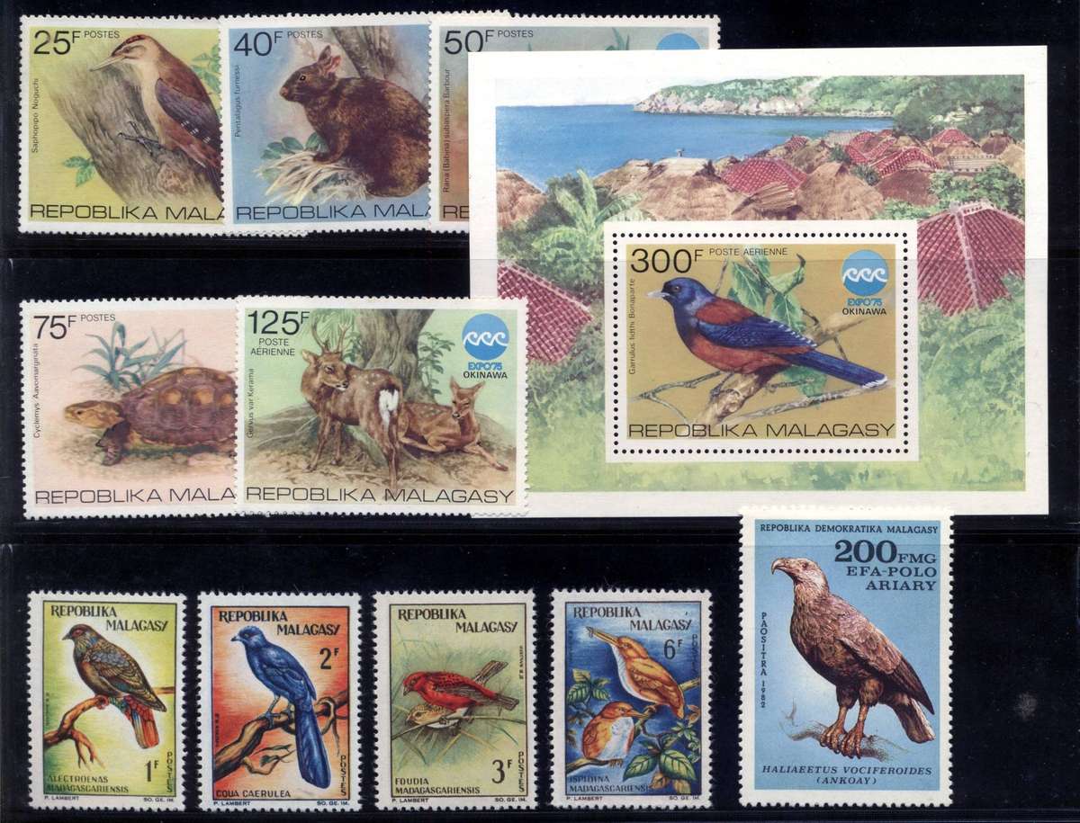 Malagasy Birds - superb unmounted