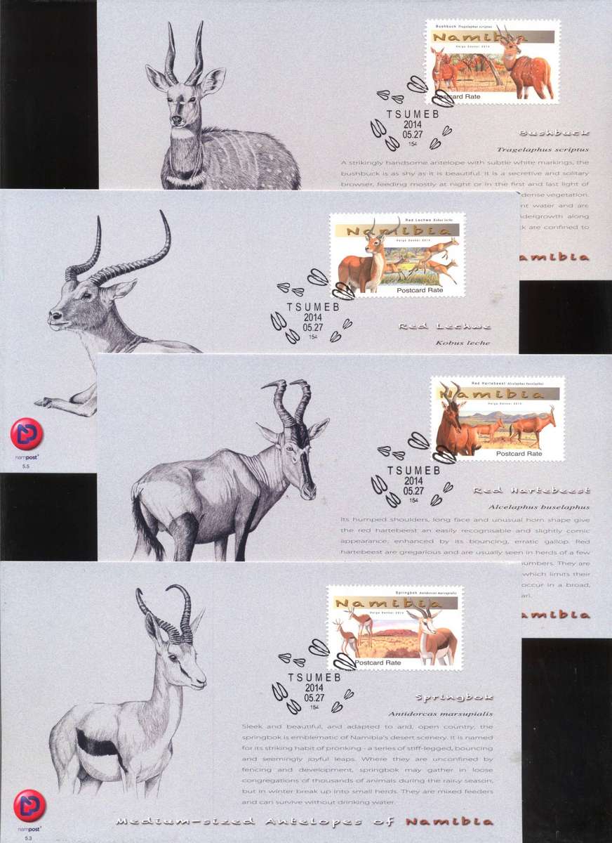 Namibia 2014 Medium Antelopes Postcards set of 4 - Superb condition