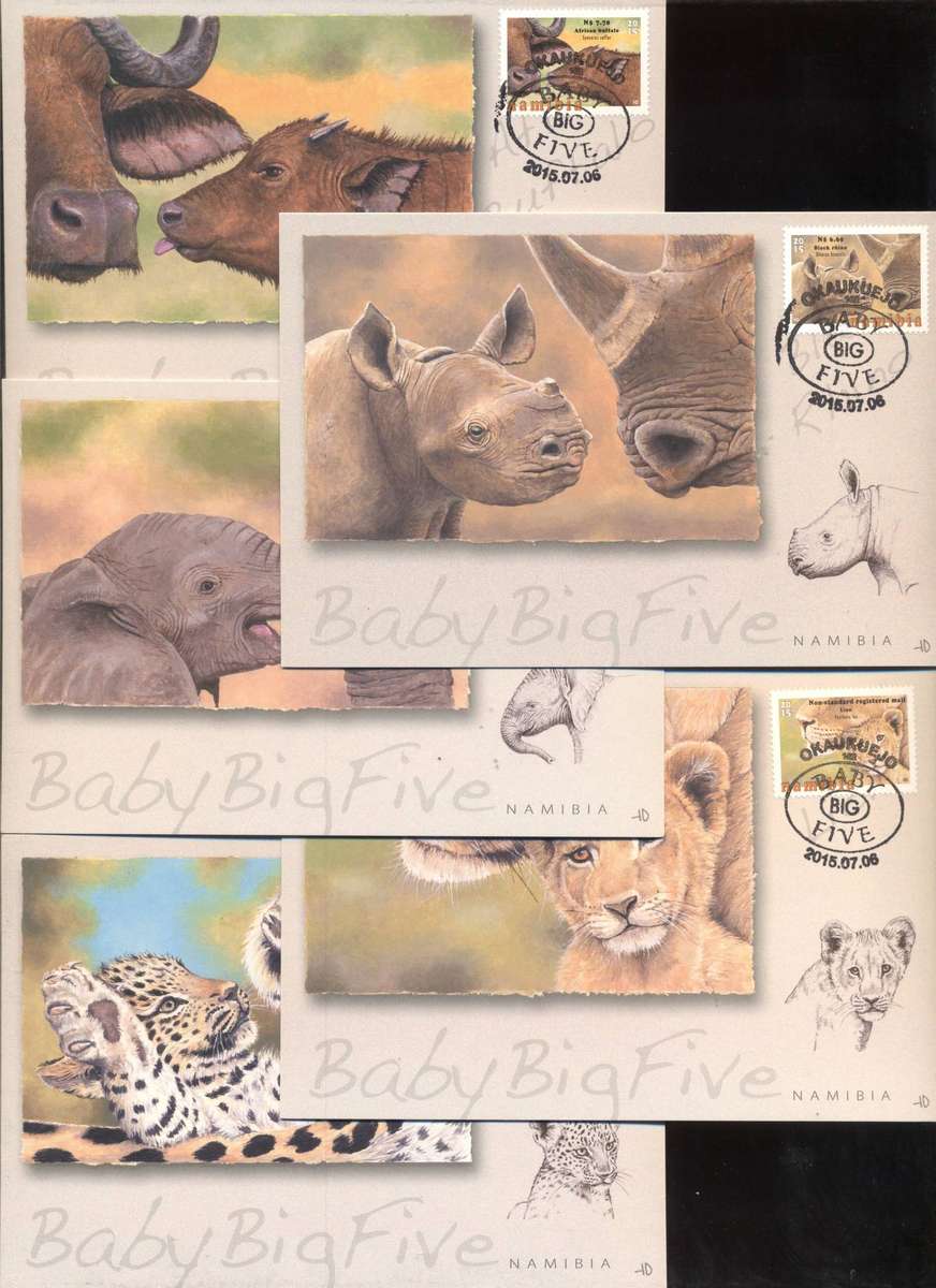 Namibia 2015 Baby Big Five Postcards set of 5 - Superb condition