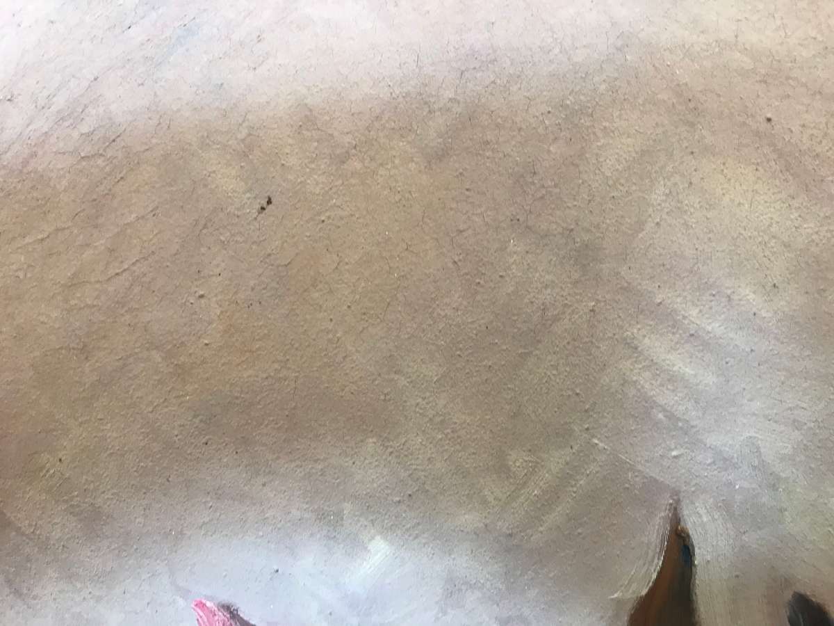 Lucy Mary Wiles - Still Life - Oil on Board