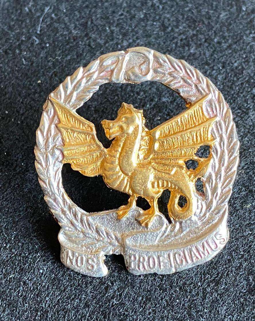 73 MOTORISED BRIGADE HQ BI/METAL CAP BADGE-APPROVED IN 1986- 2X SCREW LUGS
