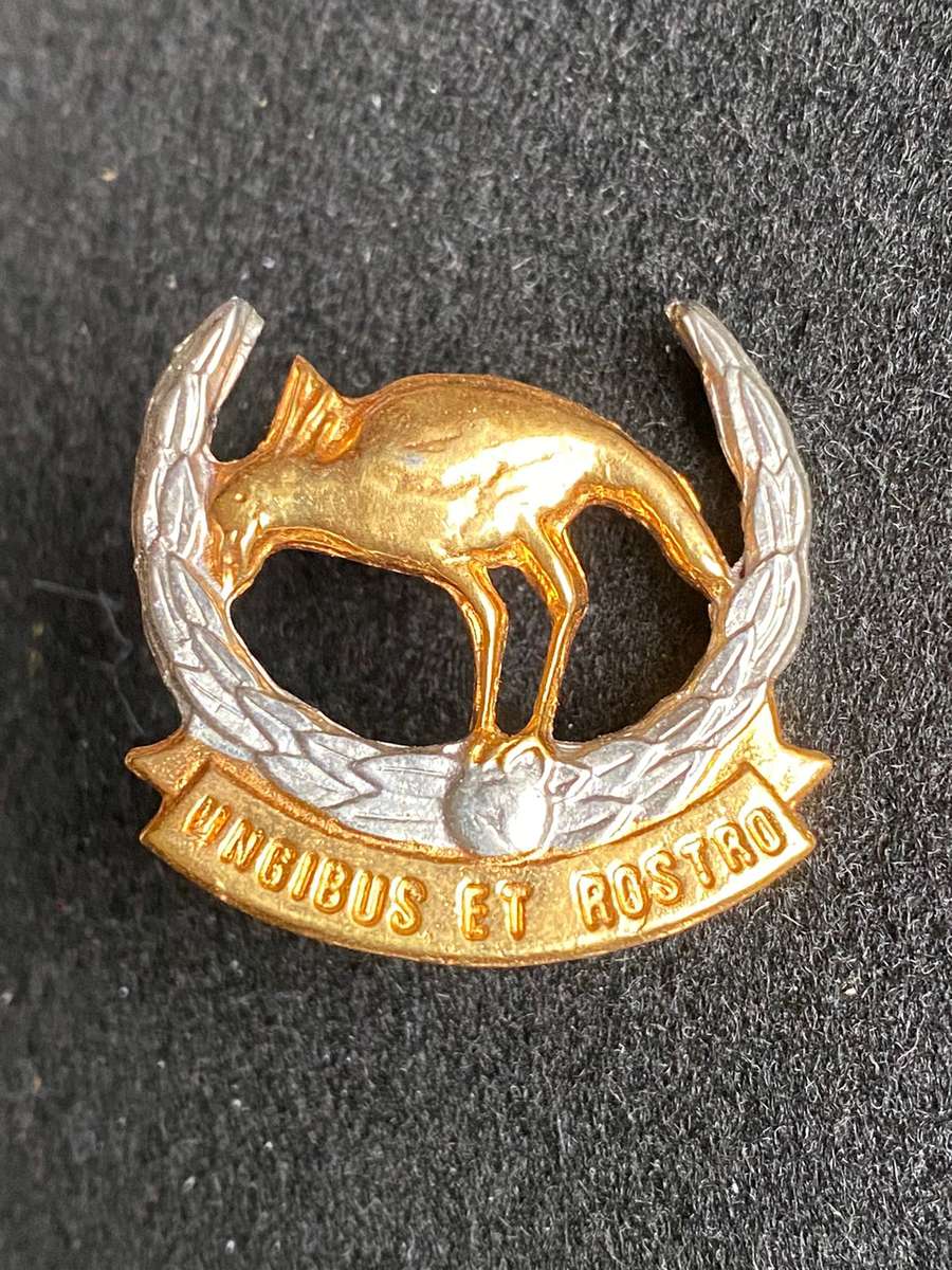 RANDBURG COMMANDO BI/METAL CAP BADGE-APPROVED IN 1990- 2 X SCREW LUGS