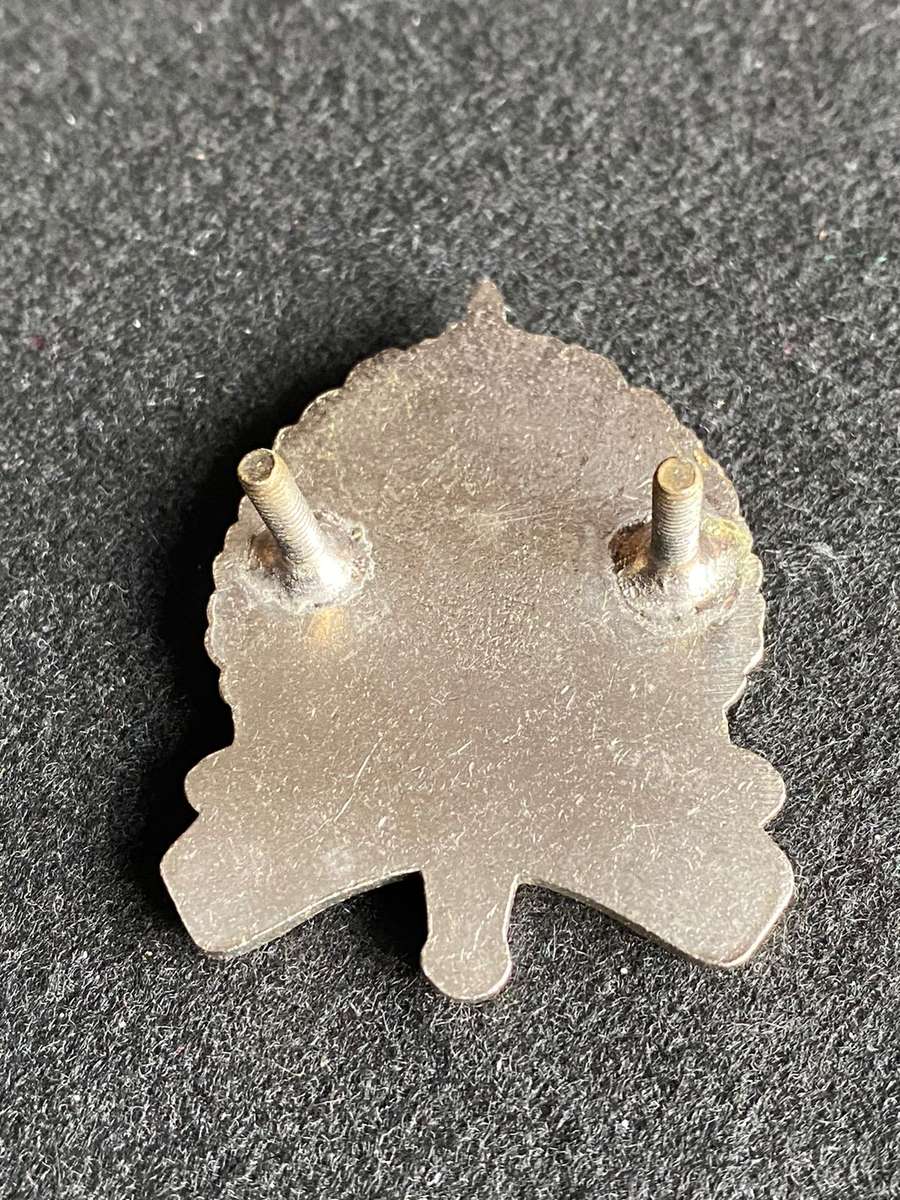 NORTHERN CAPE COMMAND PROVOST UNIT CAP BADGE-APPROVED 1991-2X SCREW LUGS