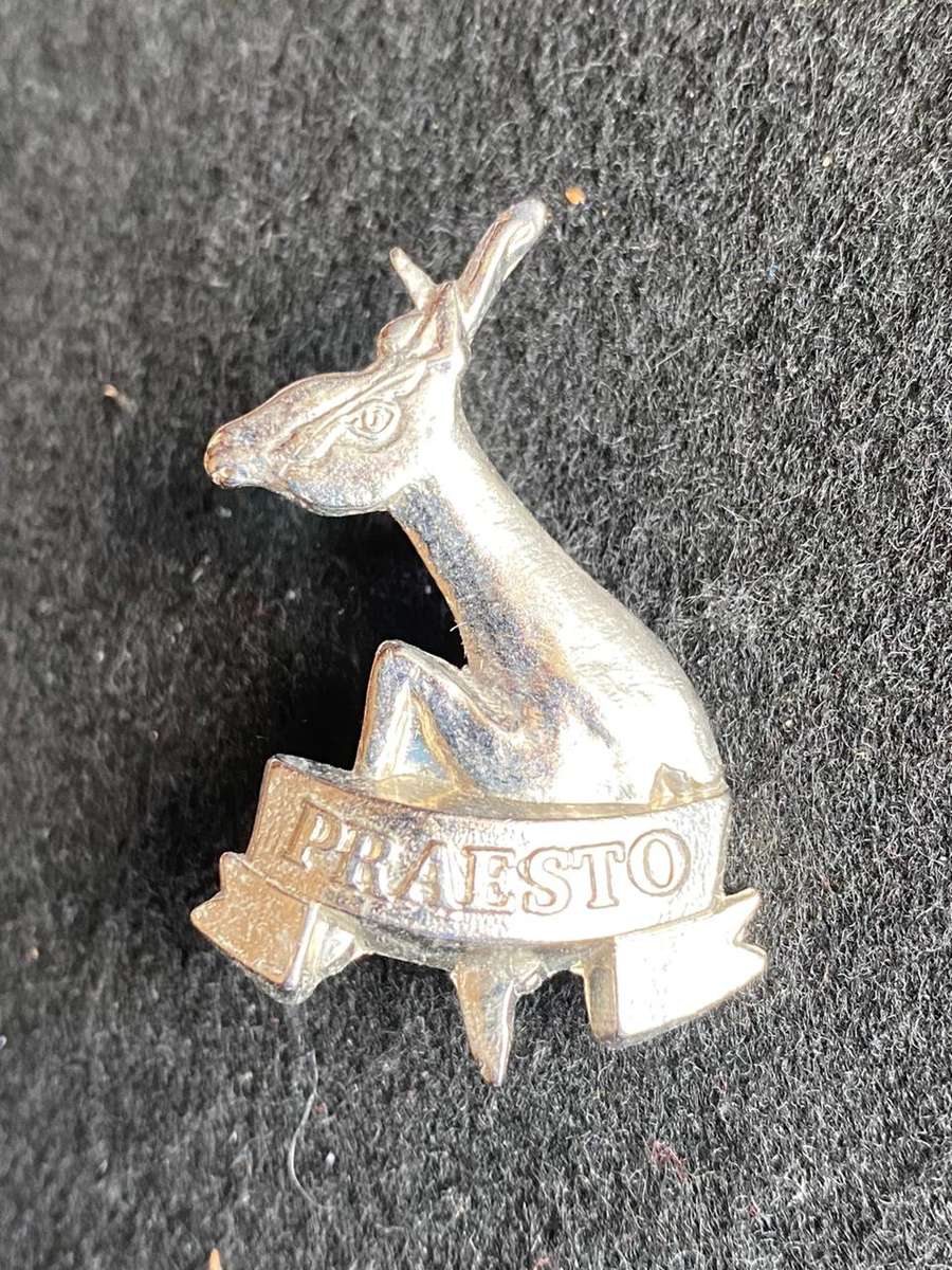 115 BATTALION BERET BADGE-WORN 1990'S-2003- 2 X SCREW LUGS