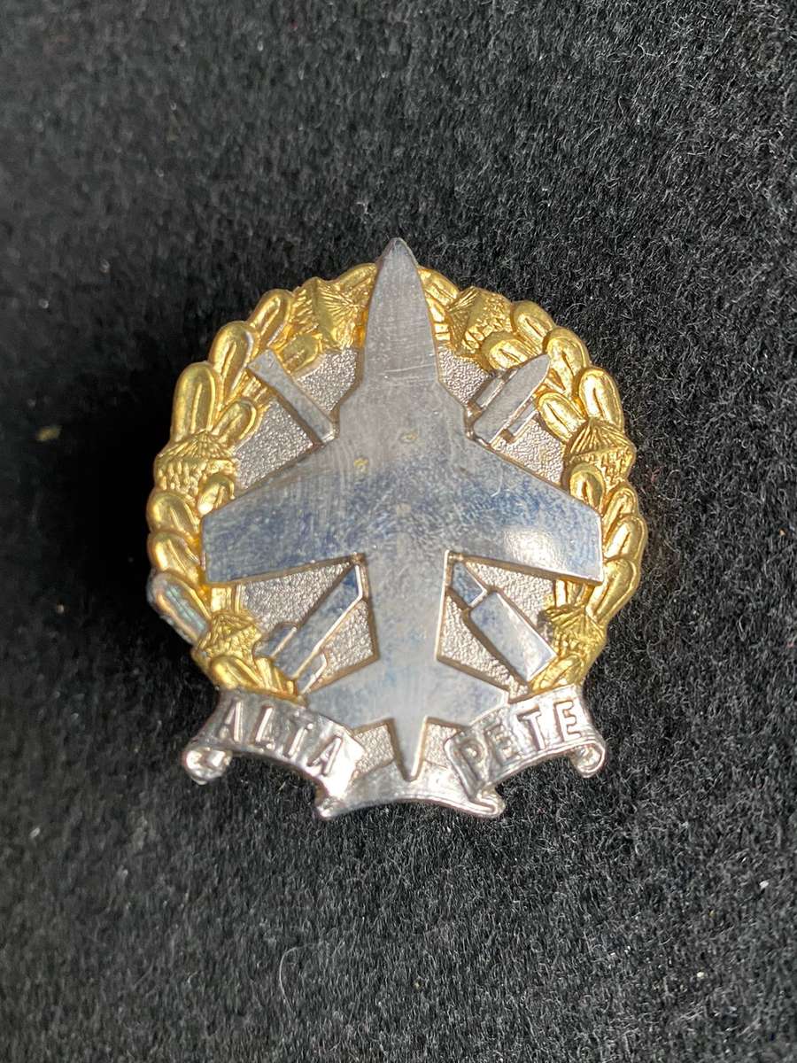 10 ANTI AIR REGT. BERET BADGE-WORN FROM 1987- 2 X SCREW LUGS