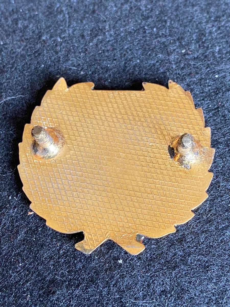 72 MOTOTRISED BRIGADE HQ GOLD WREATH CAP BADGE-APPROVED 1986- 2 LUGS