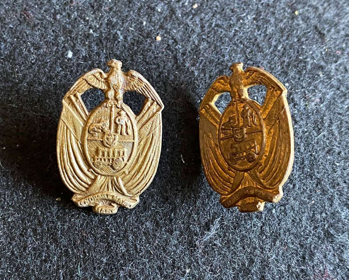 VINTAGE TRANSVAAL PROV. ADMINISTRATION COLLAR BADGE PAIR-ONE PIN MISSING