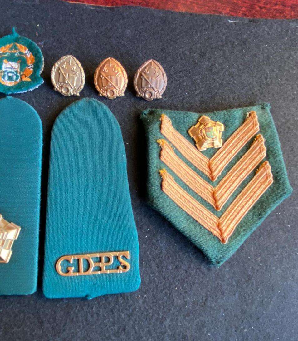 SA PRISON SERVICE,JOB LOT OF RANKS AND BADGES-SOLD TOGETHER- 9 IN TOTAL