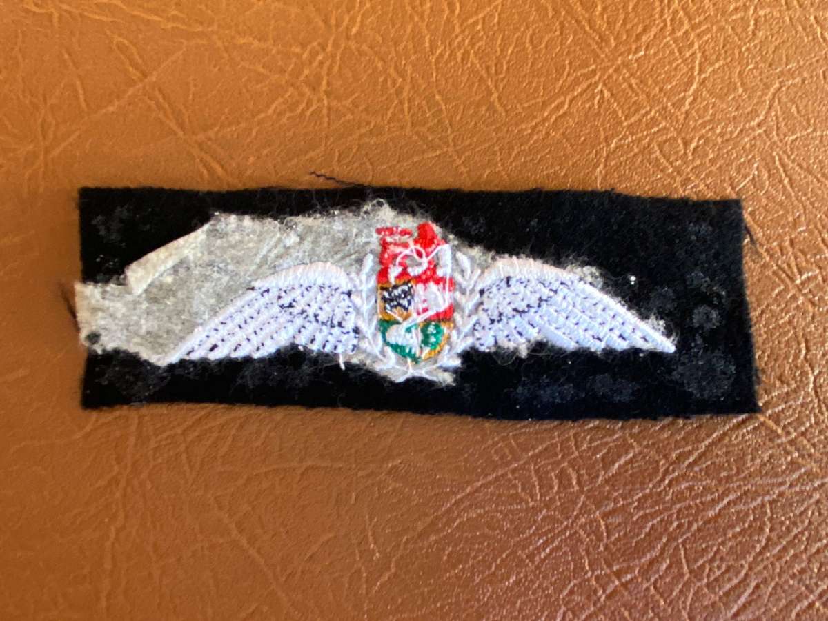 SAAF PILOTS WING -1993-2003