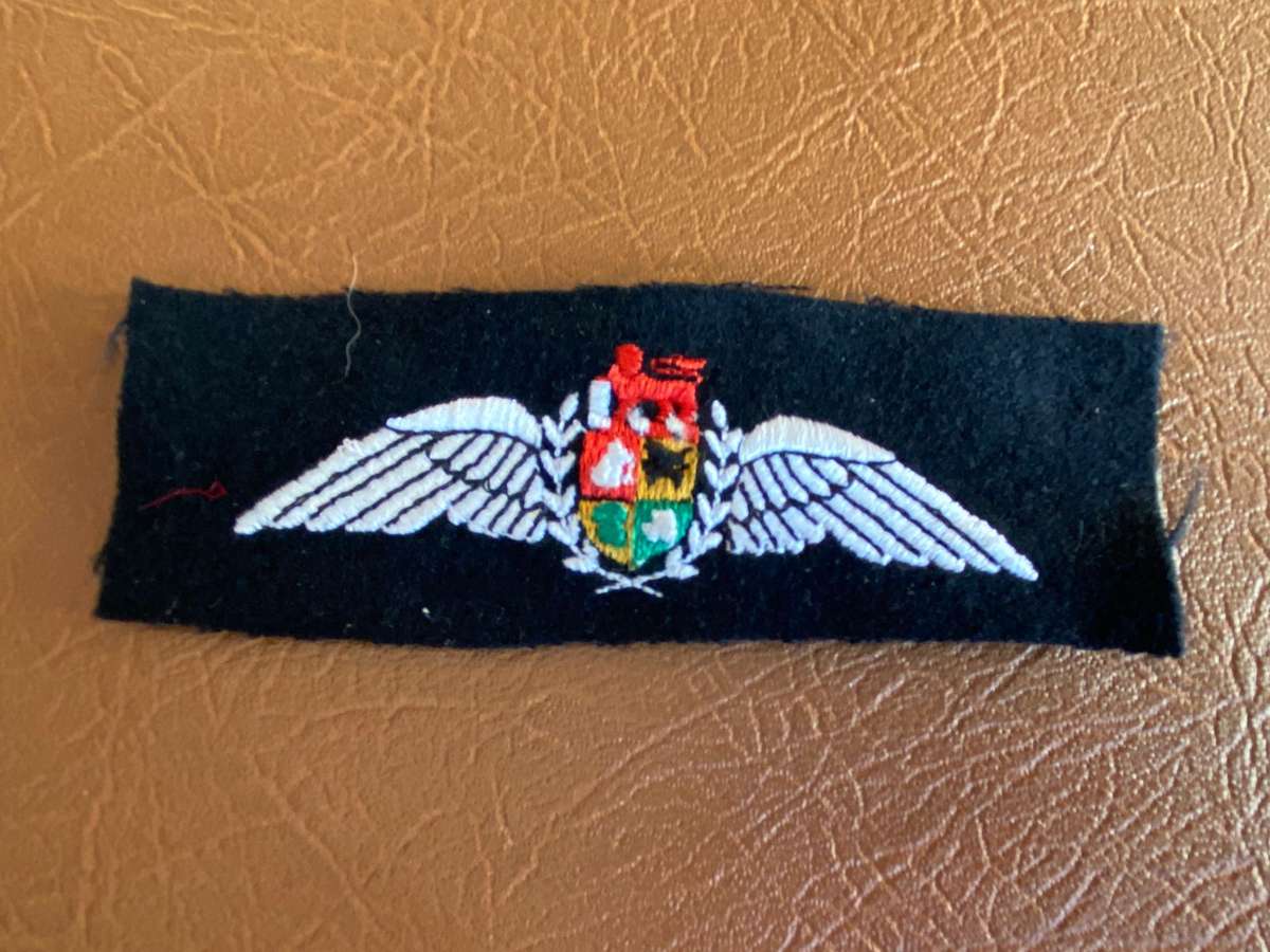 SAAF PILOTS WING -1993-2003