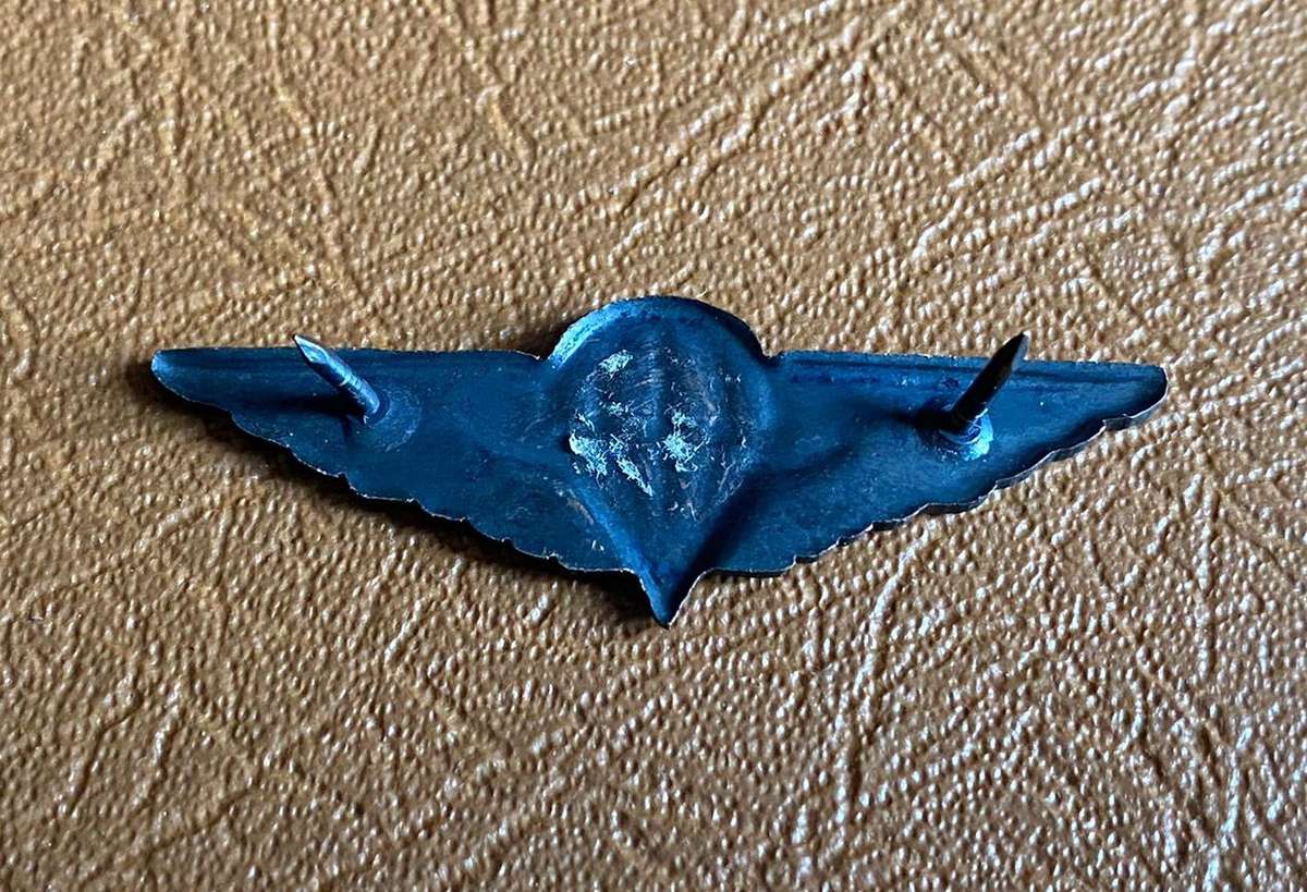 CISKEI,FREE FALL PARA WINGS-MESS DRESS- 2 PINS
