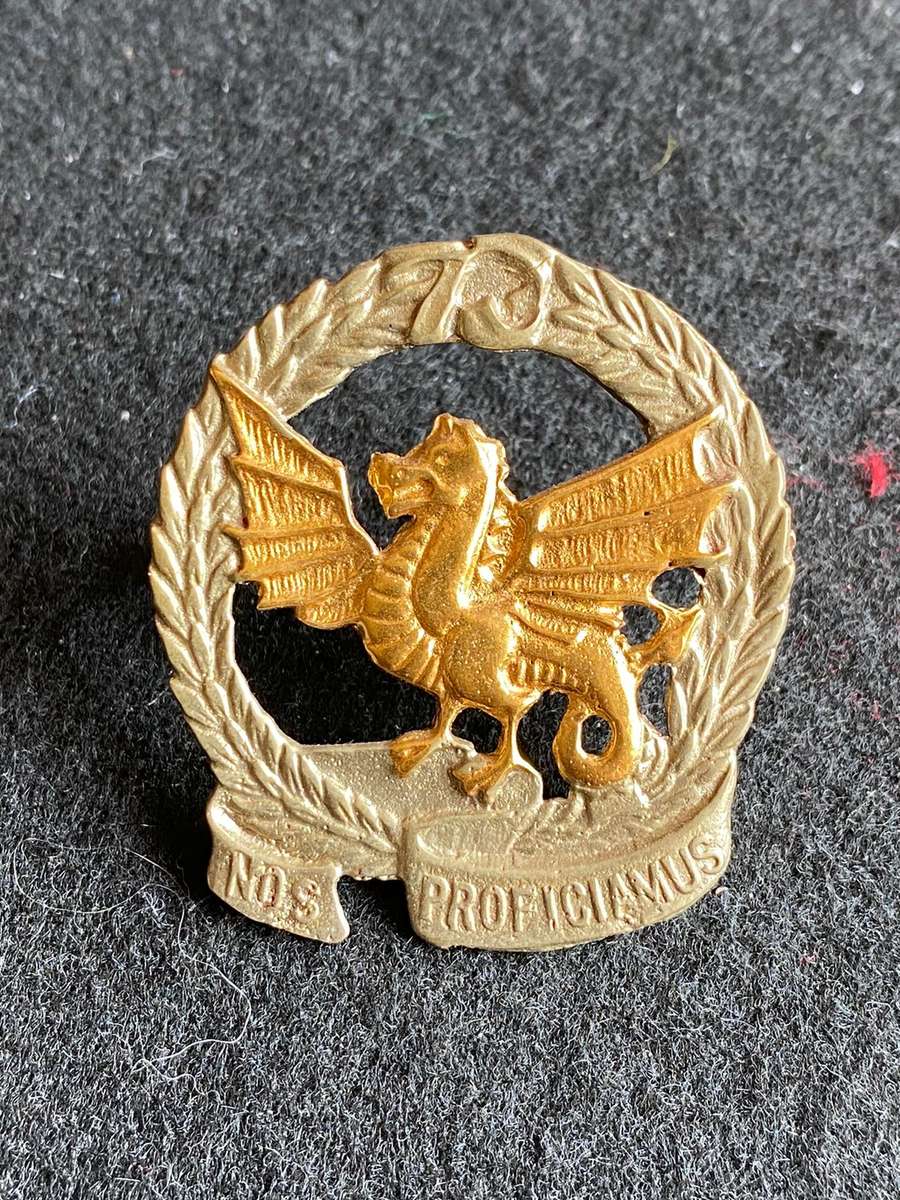 73 MOTORISED BRIGADE HQ BI-METAL CAP BADGE-APPROVED IN 1986- 2 X SCREW LUGS