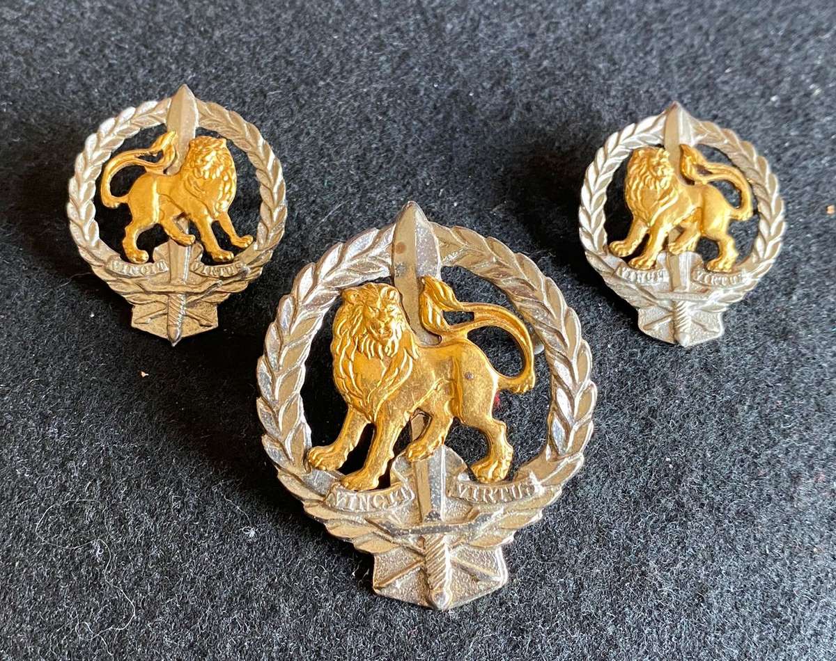 REGIMENT HILLCREST BI/METAL CAP AND COLLARS-APPROVED 1983-LUGS + PINS INTACT