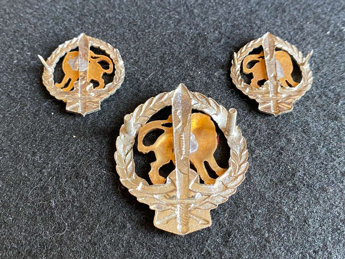 REGIMENT HILLCREST BI/METAL CAP AND COLLARS-APPROVED 1983-LUGS + PINS INTACT