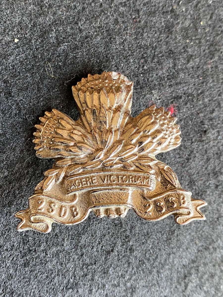 1 SPECIAL SERVICE BATTALION -WHITE METAL CAP BADGE- 1X SCREW LUGS