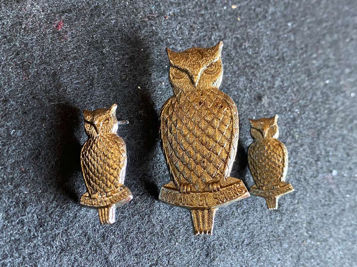 MILITARY INTELLIGENCE CAP AND COLLARS-FIRST ISSUE-WORN POST 1971-LUGS + PINS COMPLETE