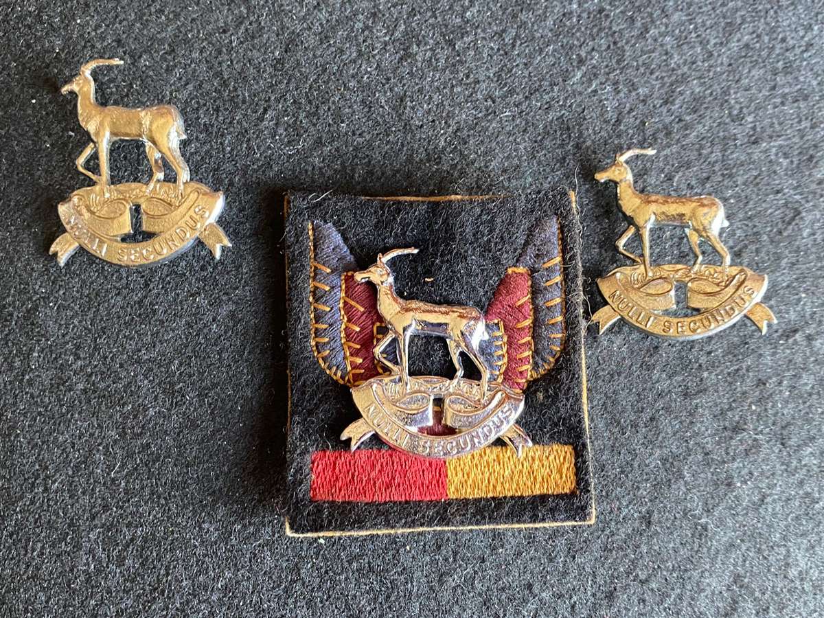 PRETORIA REGT. CHROME CAP AND COLLARS-WORN FROM 1976-PINS INTACT