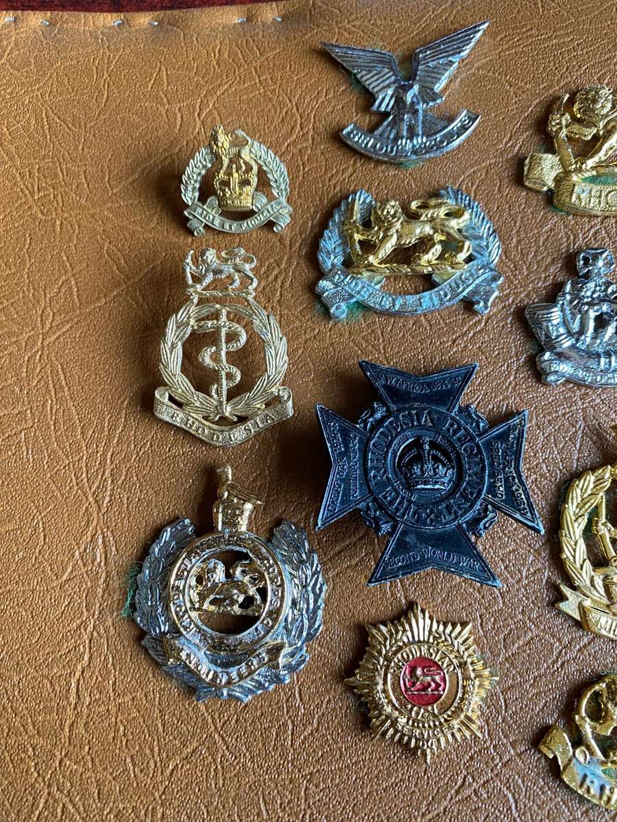 MIXED LOT OF RHODESIAN BADGES-MOST WITHOUT LUGS- 16 IN TOTAL