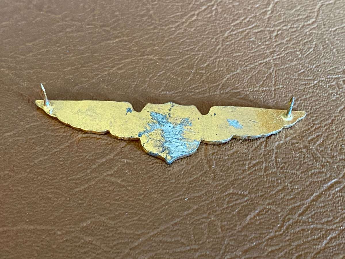 SUFFOLK COUNTY PILOTS WING- 2 PINS