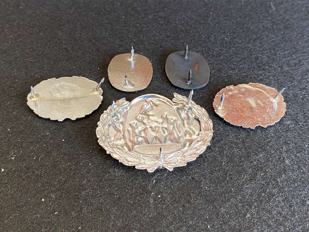 CISKEI RANK BADGES- 5 SOLD TOGETHER-PINS COMPLETE