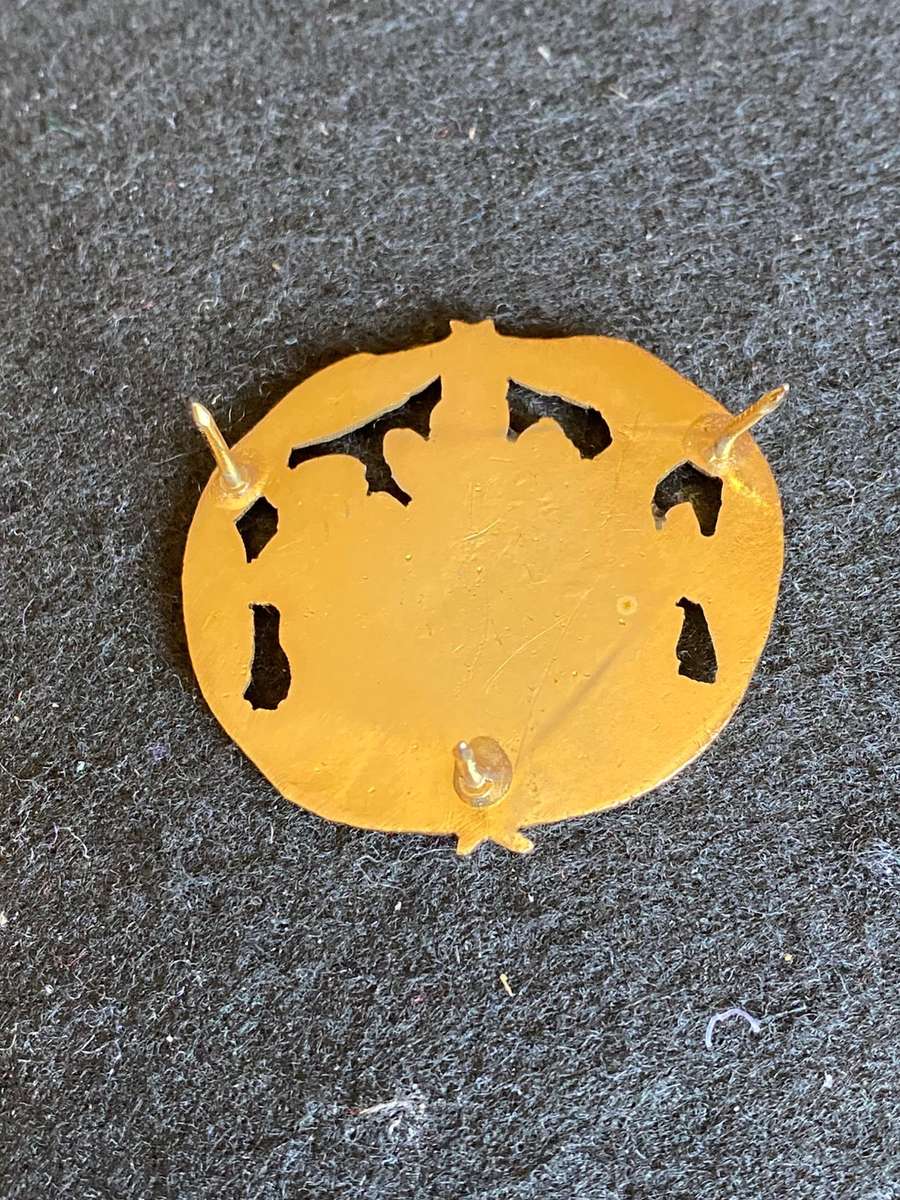 KWANDEBELE DEFENCE FORCE R.S.M. ARM BADGE- 3 PINS