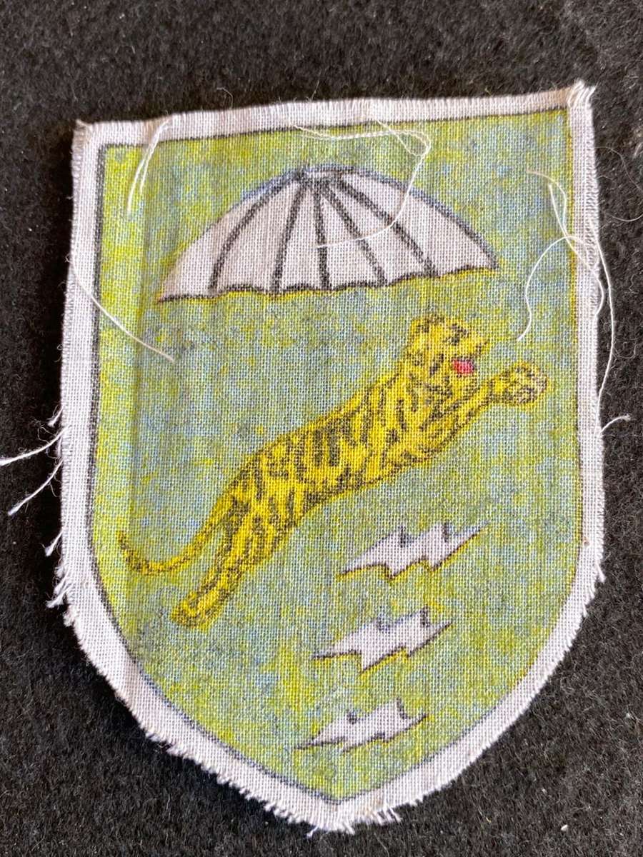 ORIGINAL PATCH-SVSF 81 ST AIRBORNE -WORN 1957-1975