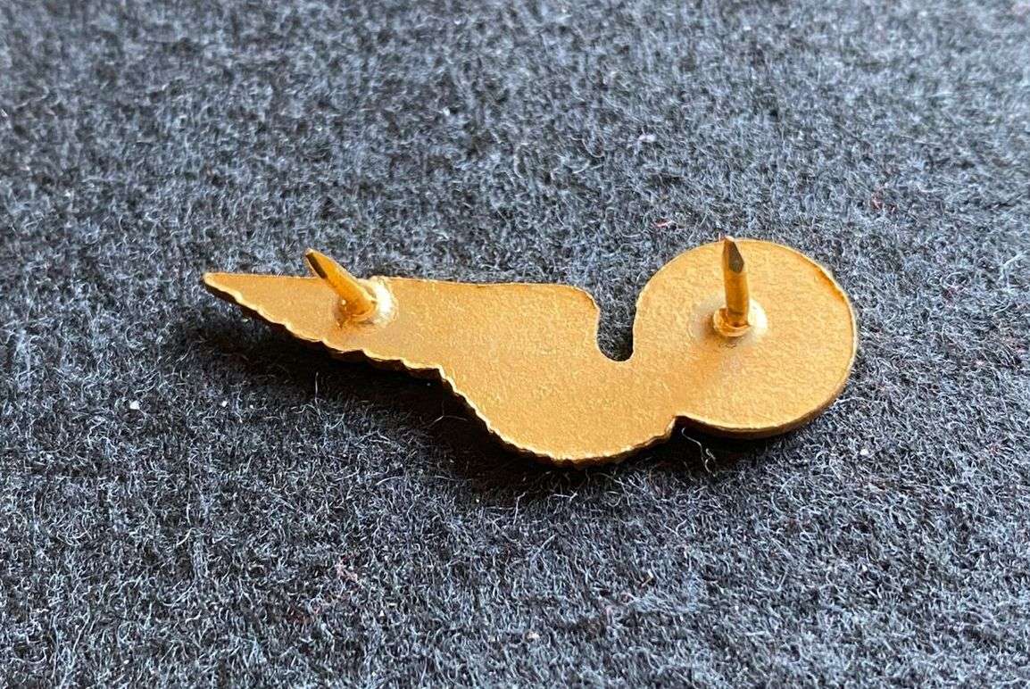 SAAF AIR PHOTOGRAPHER,MESS DRESS BREAST BADGE- GILT - 2 PINS