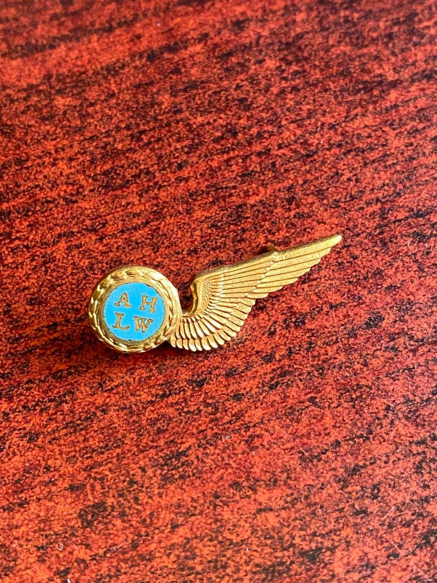 SAAF HOSTESS,GILT BADGE- 2 PINS