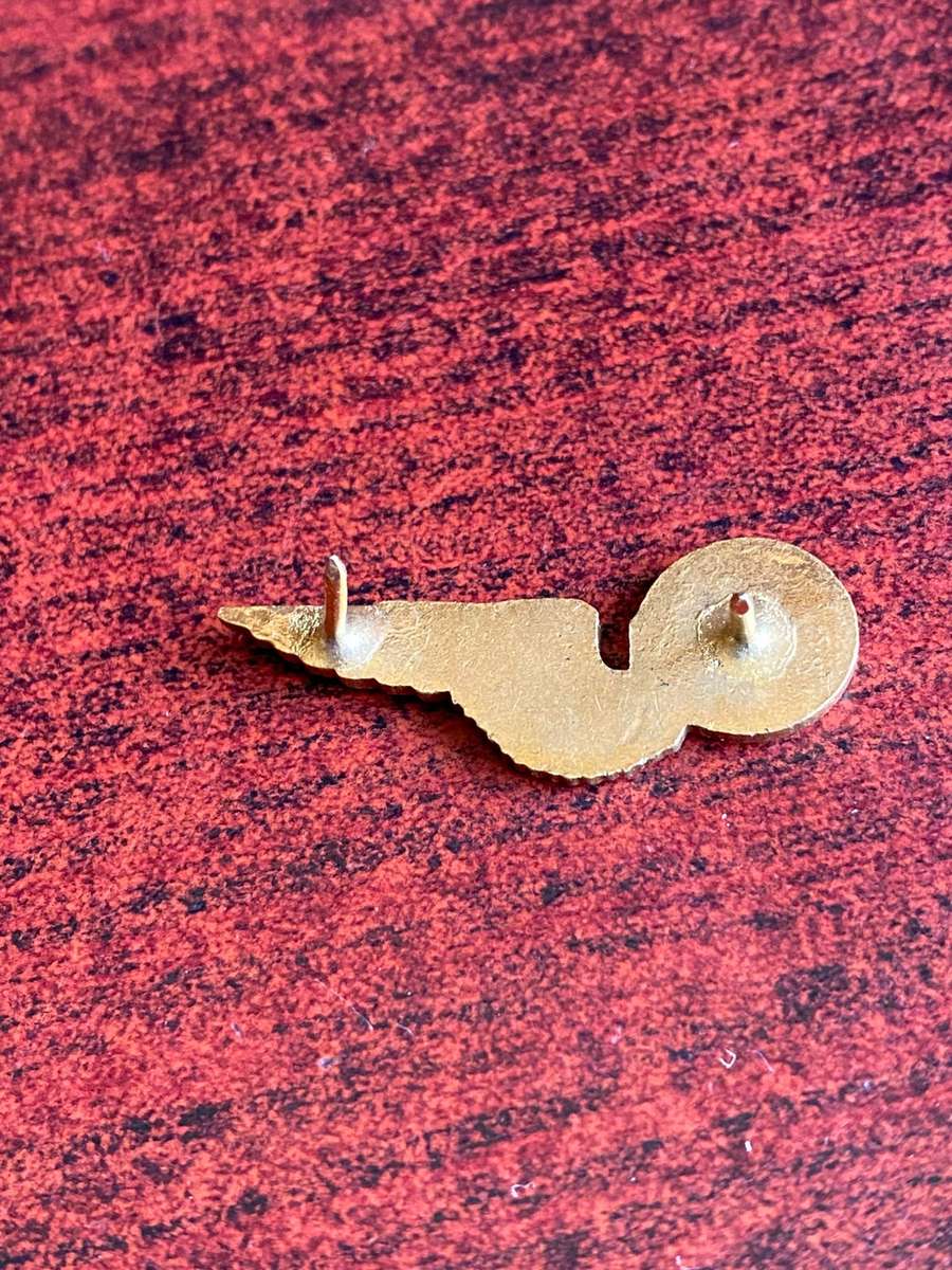 SAAF HOSTESS,GILT BADGE- 2 PINS