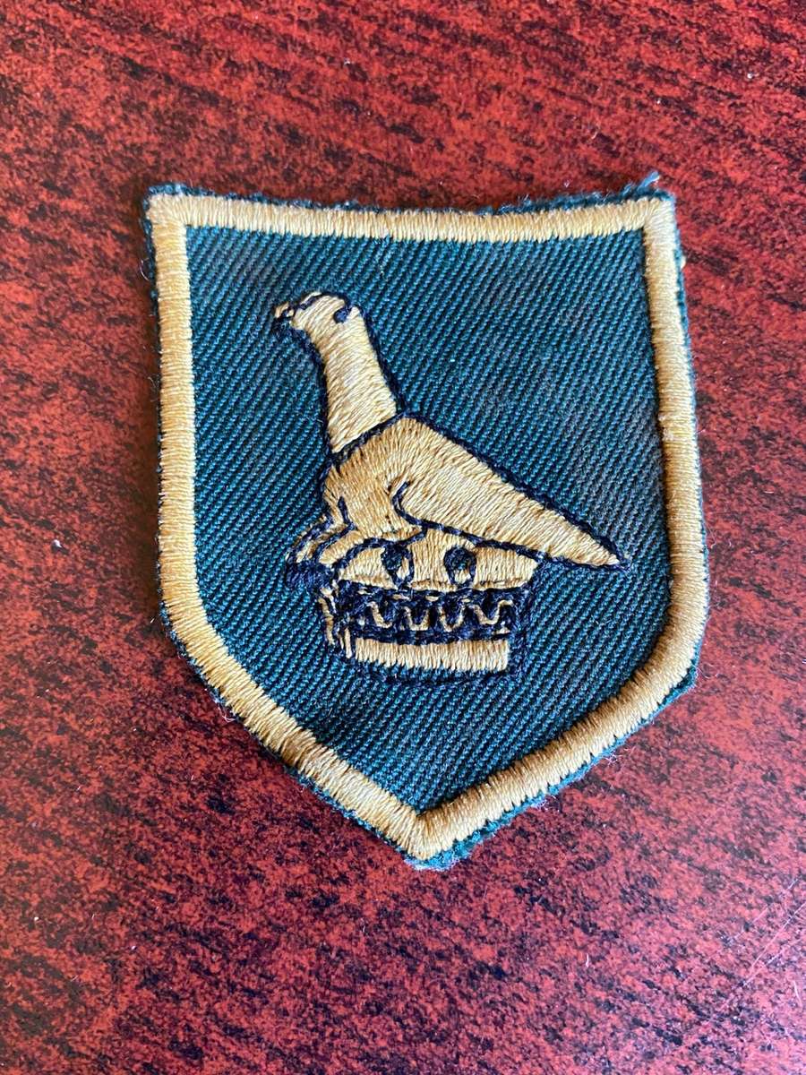 ZIMBABWE ARMY FORMATION PATCH